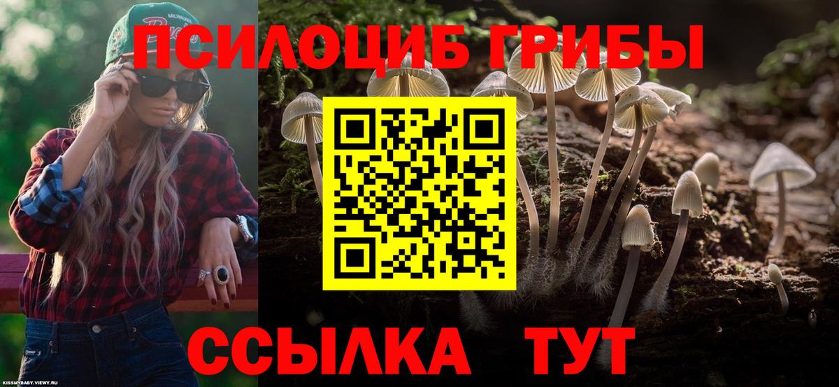Псилоцибиновые грибы GOLDEN TEACHER  Псилоцибиновые грибы Psilocybe  Вход с VPN  Великий Устюг 
