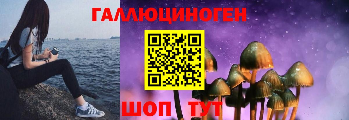 Псилоцибиновые грибы Psilocybine cubensis Великий Устюг
